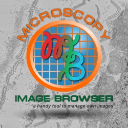 MIB Splash