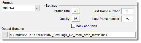 Make Movie Dialog, Options->File format settings
