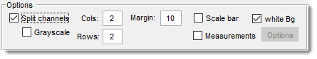 Make a Snapshot Dialog, Options->Options