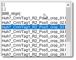 File List Context Menu
