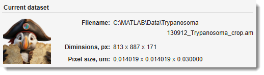 Current Dataset Panel