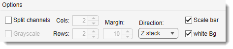 Make Movie Dialog, Options
