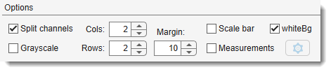 Make a Snapshot Dialog, Options